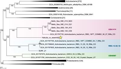 Frontiers Single Cell Genomics Of Novel Actinobacteria With The Wood